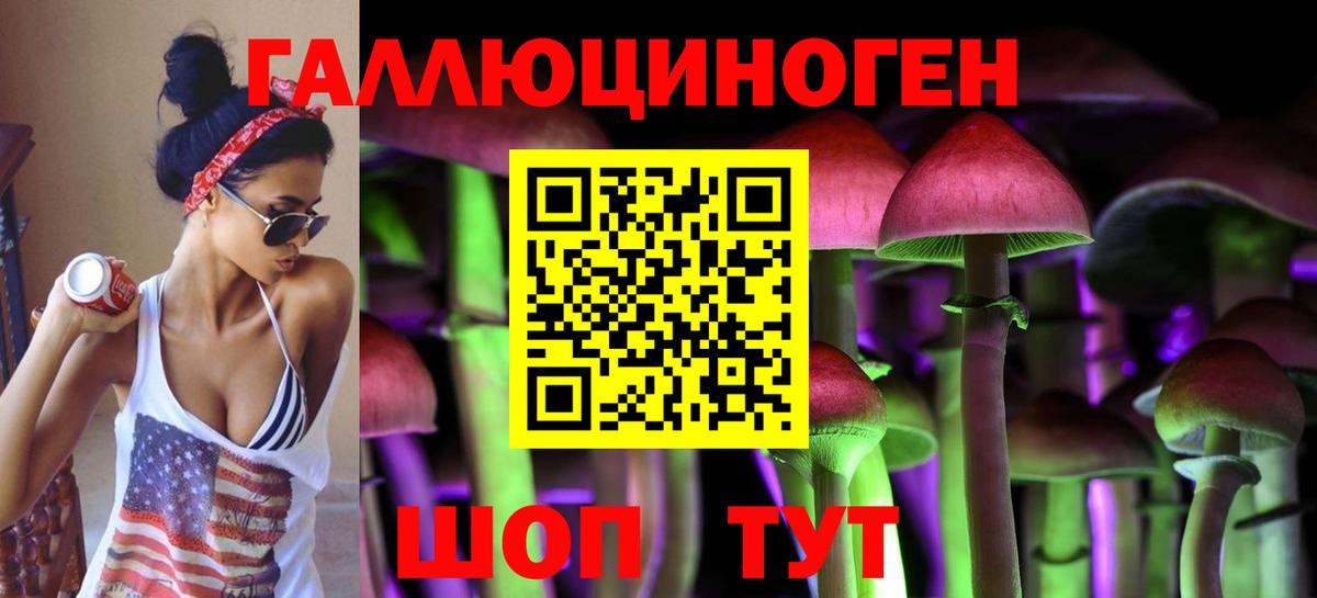 сколько стоит  Вход с VPN  Миллерово  Галлюциногенные грибы Psilocybe 