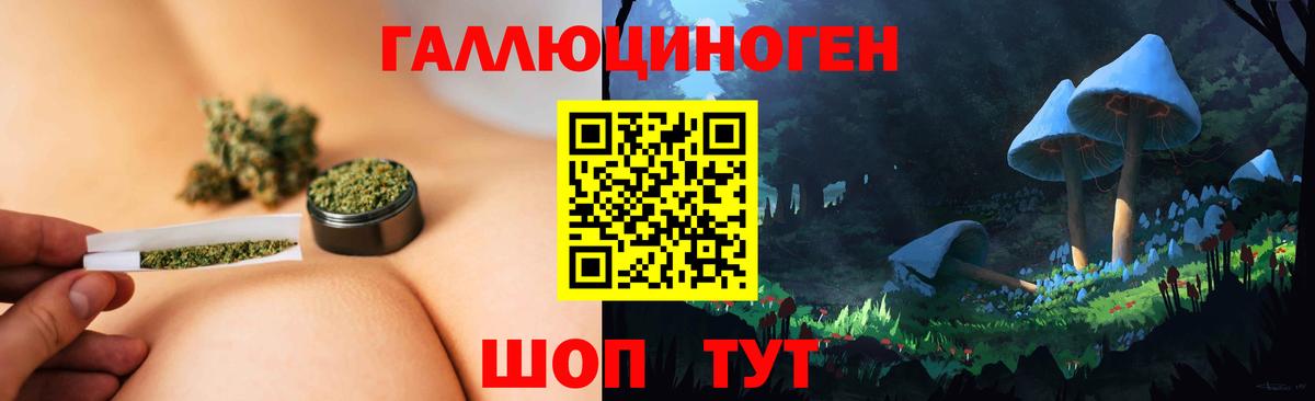 Псилоцибиновые грибы GOLDEN TEACHER Миллерово
